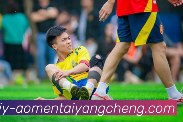 太阳城娱乐服务体系